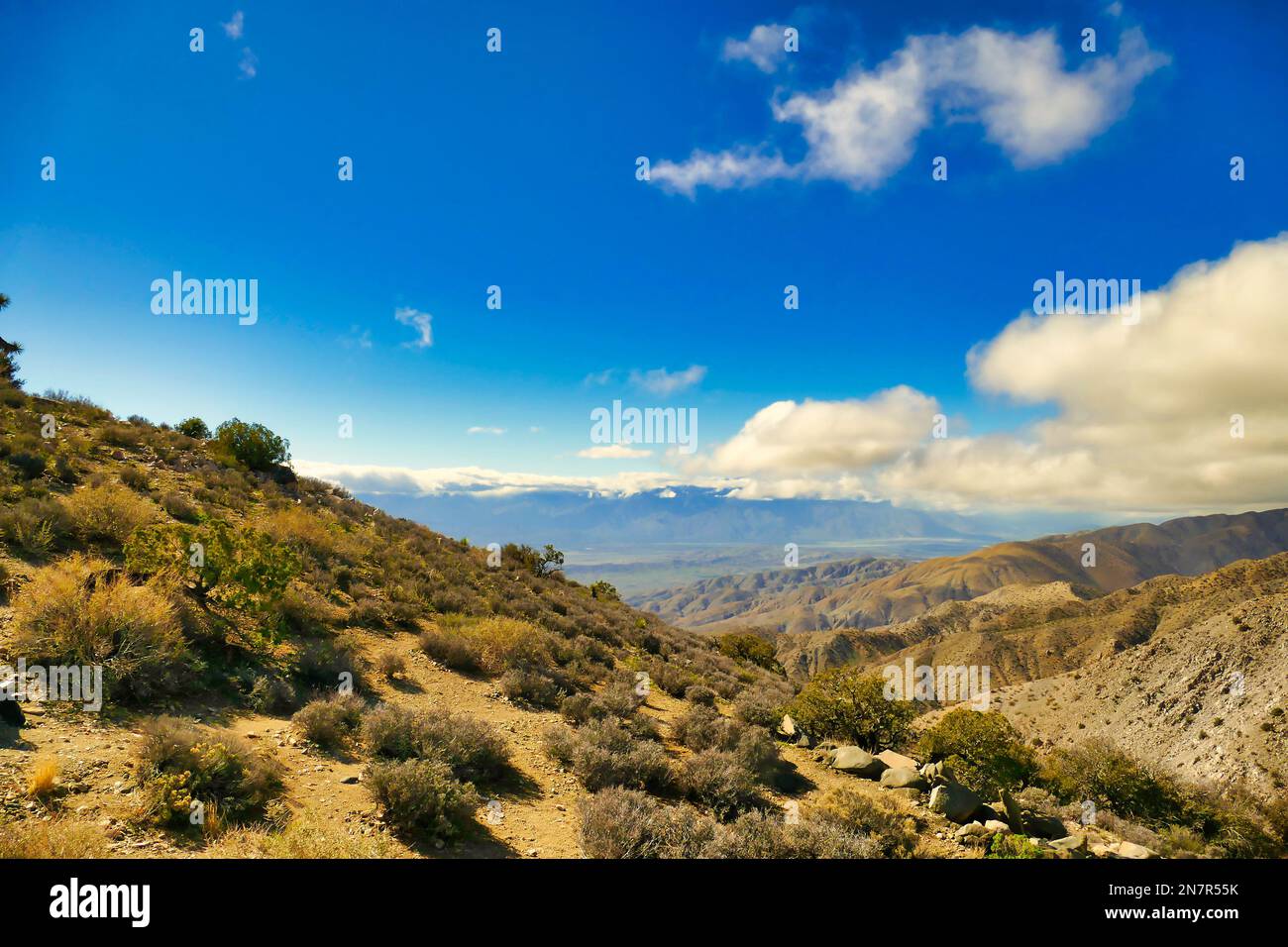 Vista delle colline ai piedi meridionali del Parco Nazionale Joshua Tree, con vegetazione desertica, e della Coachella Valley da Keys View, deserto di Mojave, California Foto Stock