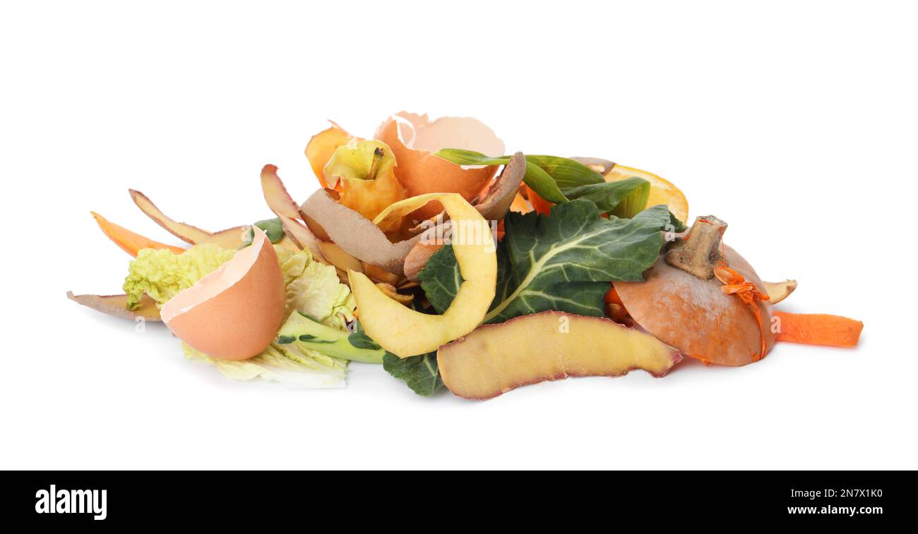 Palo di spreco organico per ridurre in concime organico su fondo bianco Foto Stock