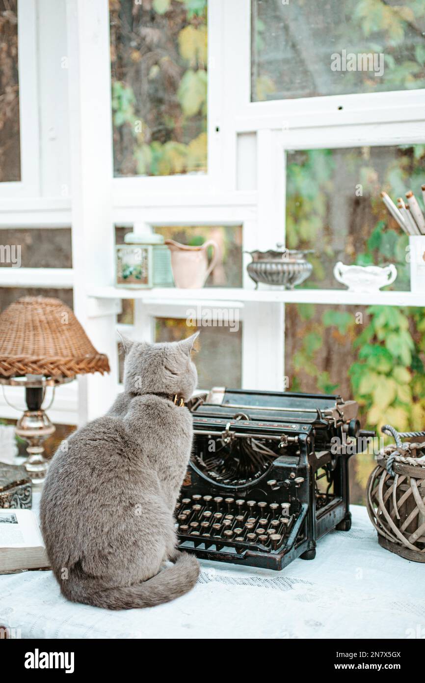 Targa In Metallo Vintage “Writing Because Murder Is Wrong” Con Gatto E Macchina Da Scrivere – 20x30 Cm – Decorazione Da Parete Per Pub, Ufficio, Casa