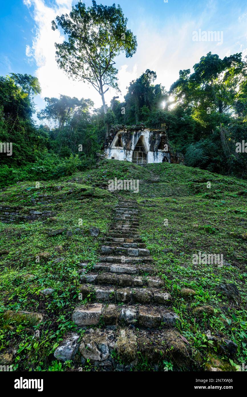 Patrimonio mondiale dell'UNESCO, le rovine Maya di Palenque, Chiapas, Messico Foto Stock