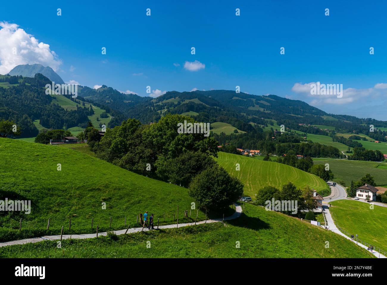 Montagne intorno al castello di Gruyere, Friburgo, Svizzera Foto Stock