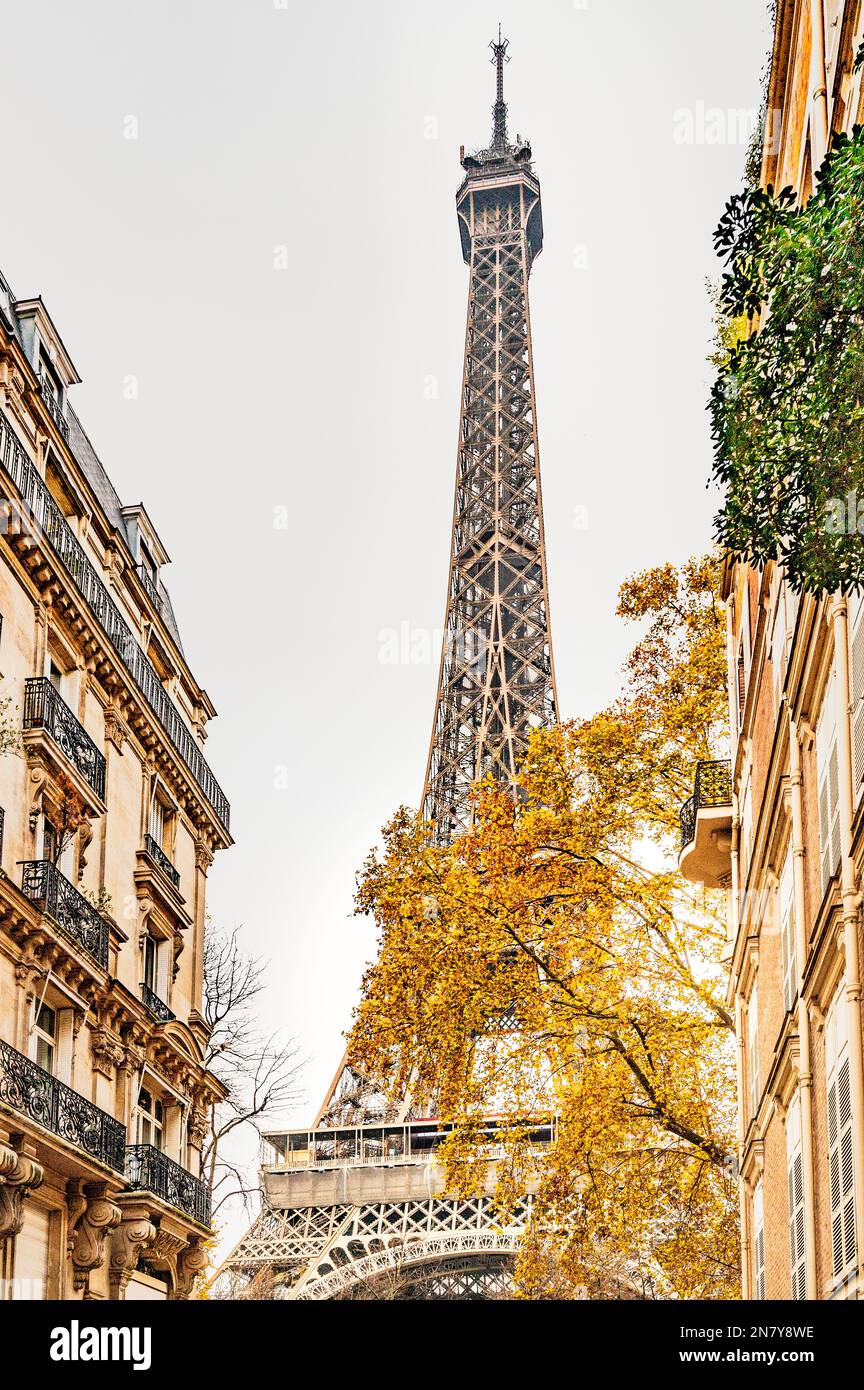 La torre Eiffel vista dalla Rue de l'Université, Rive Gauch, Parigi, Francia Foto Stock