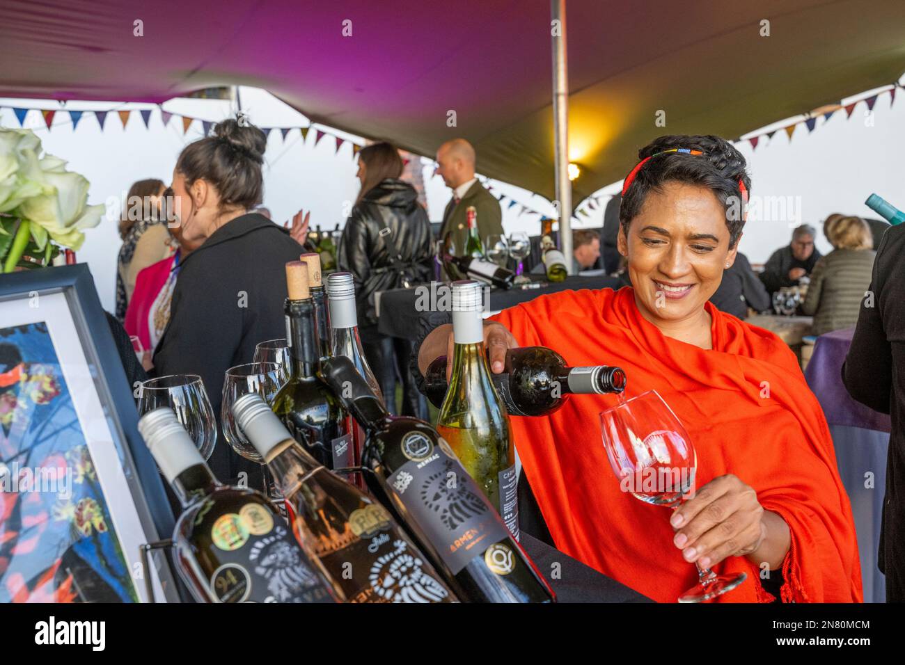 Carmen Stevens, primo enologo nero, Stellenbosch, Capo Occidentale, Sud Africa Foto Stock