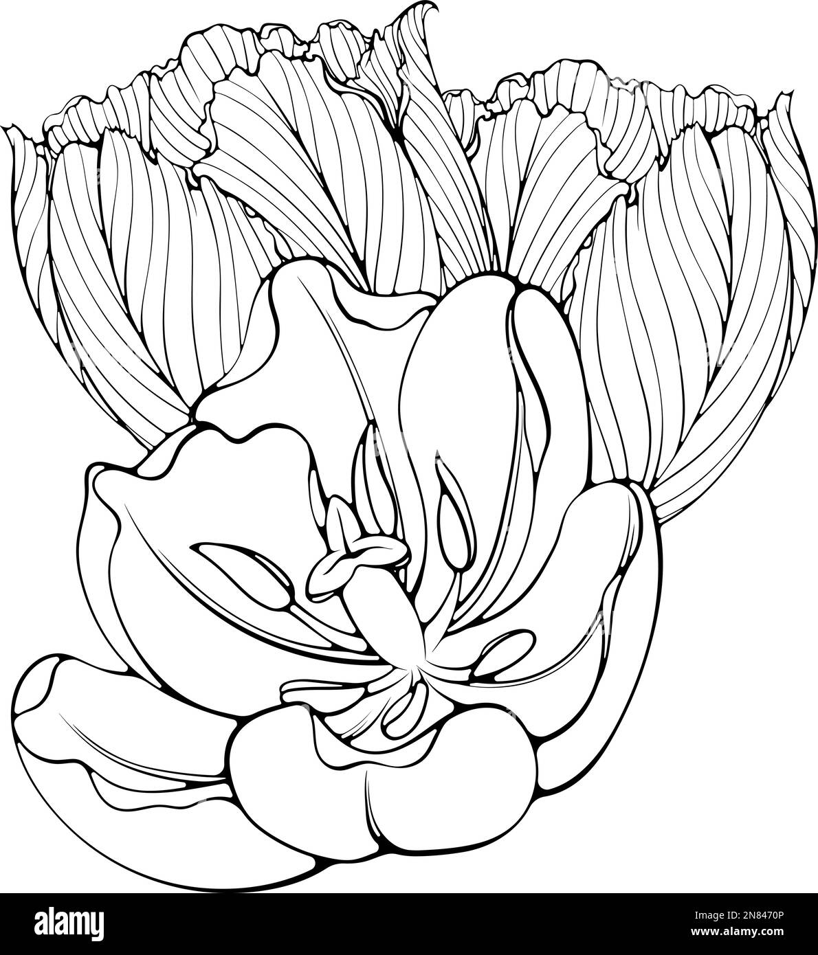 Bouquet di tre tulipani linea arte Illustrazione Vettoriale
