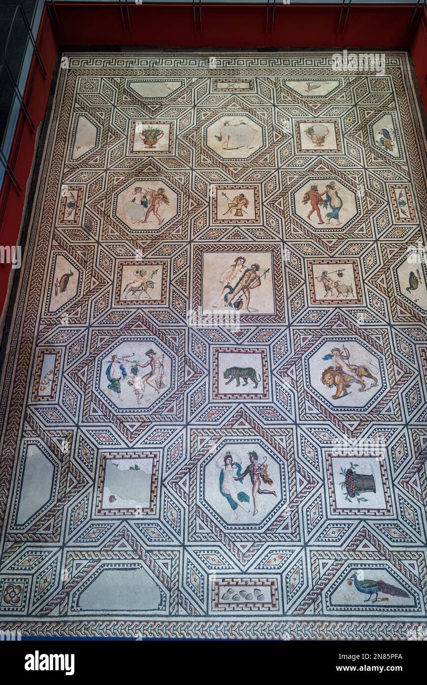 Mosaico di Dioniso al Museo Romano-Germanico - Colonia, Germania Foto Stock