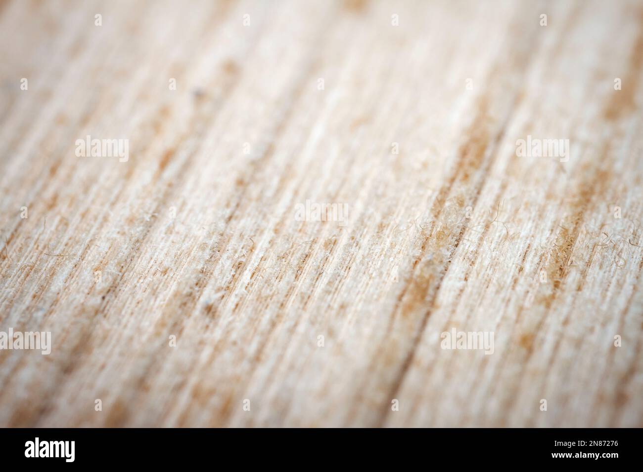 Primo piano estremo di un vecchio libro dal lato. Messa a fuoco morbida selettiva, profondità di campo ridotta. Bibliophile, sfondo astratto di bookworm Foto Stock