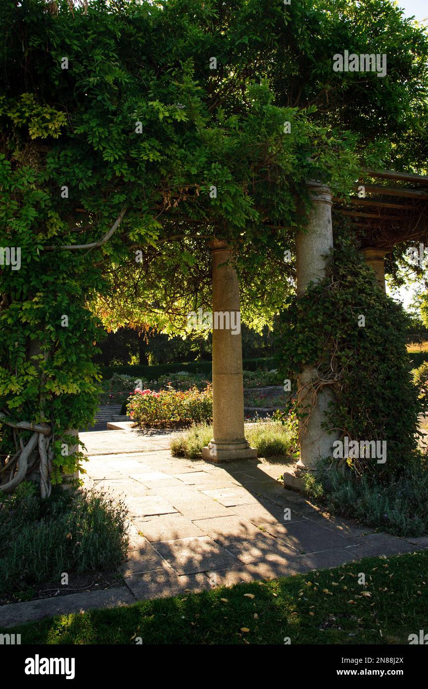 Giardino delle rose nei giardini commemorativi della guerra irlandese a Islandbridge, Dublino. Progettato da Sir Edwin Lutyens come memoriale del WW1, progettato nel 1930 Foto Stock