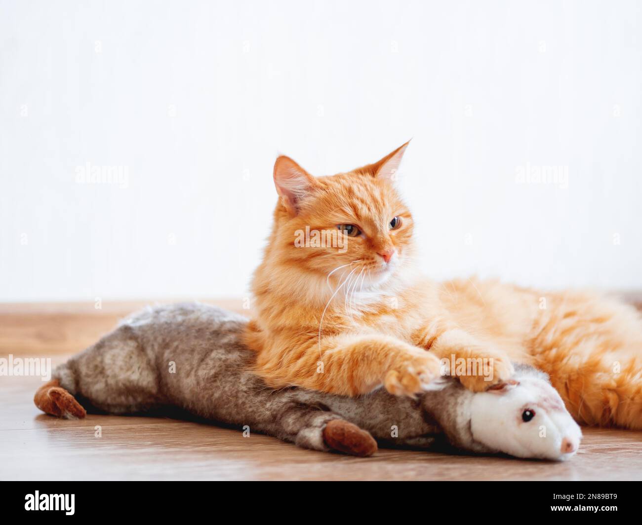 Carino zenzero gatto sdraiato sul pavimento con il giocattolo preferito - felpa furetto. Soffice animale domestico su sfondo accogliente casa. Foto Stock