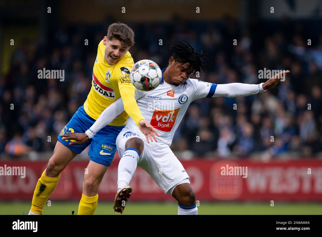 Ravil Tagir di Westerlo e Emmanuel Orban Gift di Gent sono raffigurati in  azione durante una partita di calcio tra KVC Westerlo e KAA Gent, sabato 11  febbraio 2023 a Westerlo, il