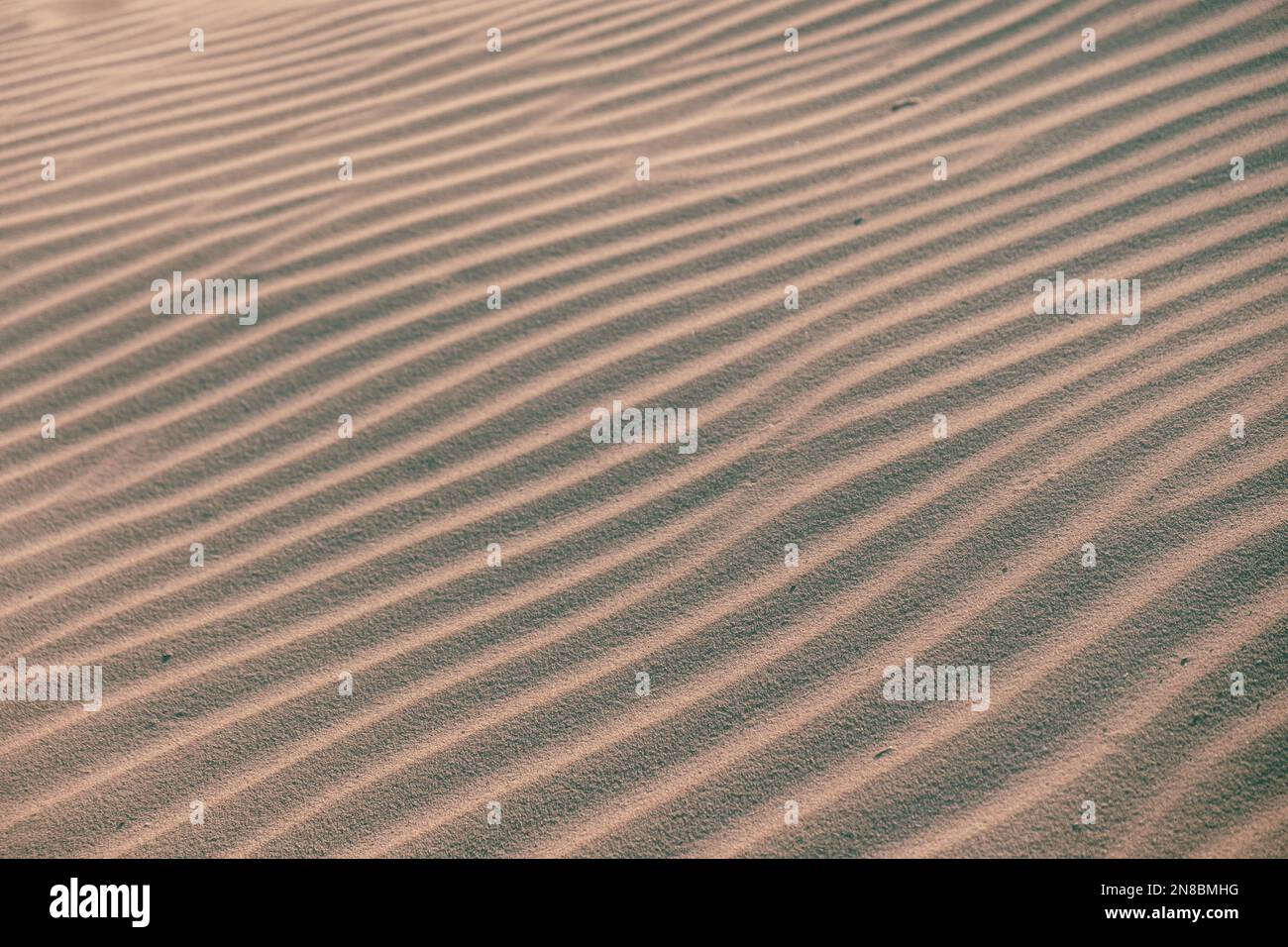 Sabbia ondulata. Piano. Vista dall'alto Foto Stock