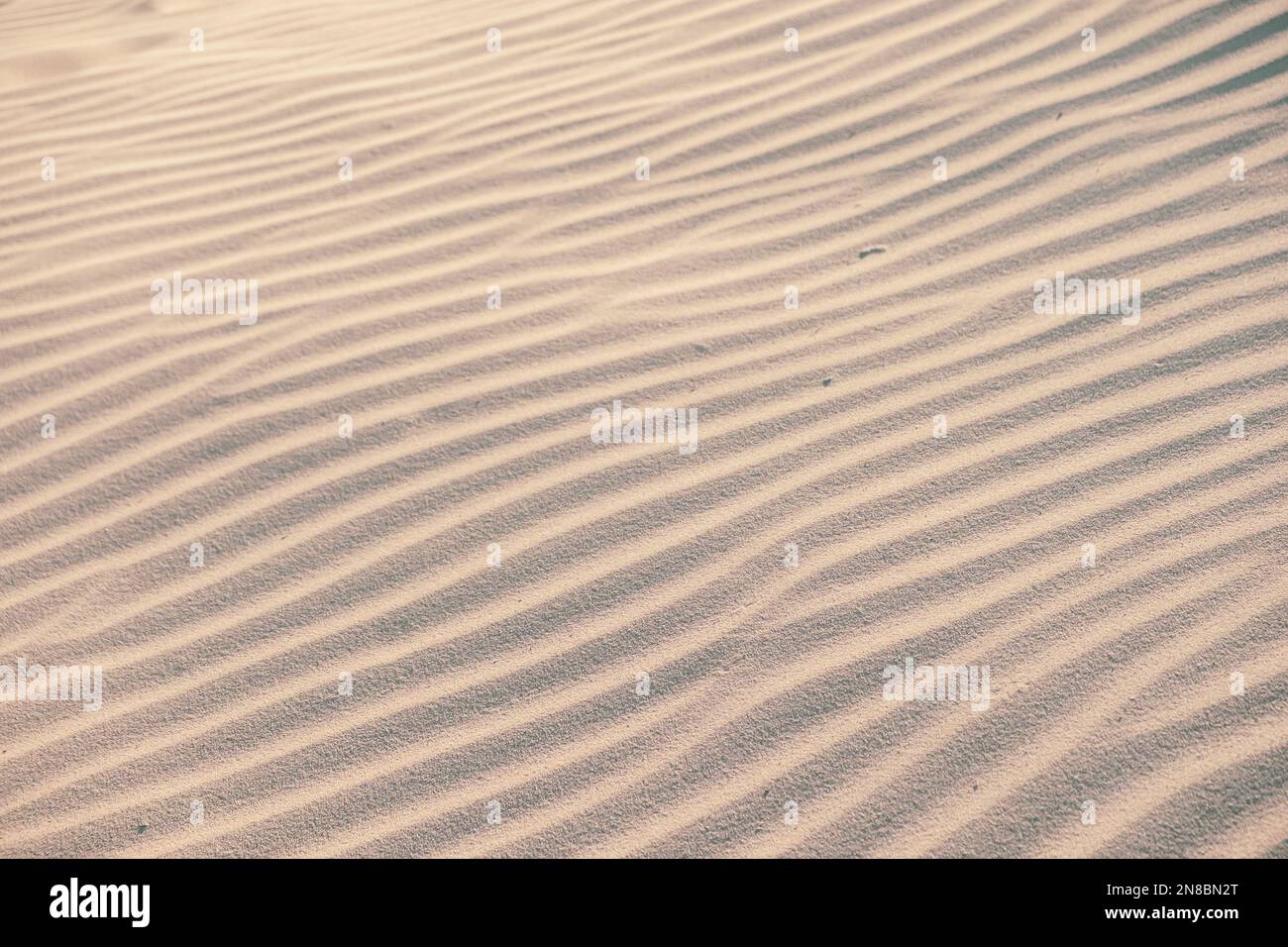 Fondo naturale di arenaria texture. sabbia sulla spiaggia come sfondo. Sfondo di sabbia ondulata per disegni estivi. Foto Stock