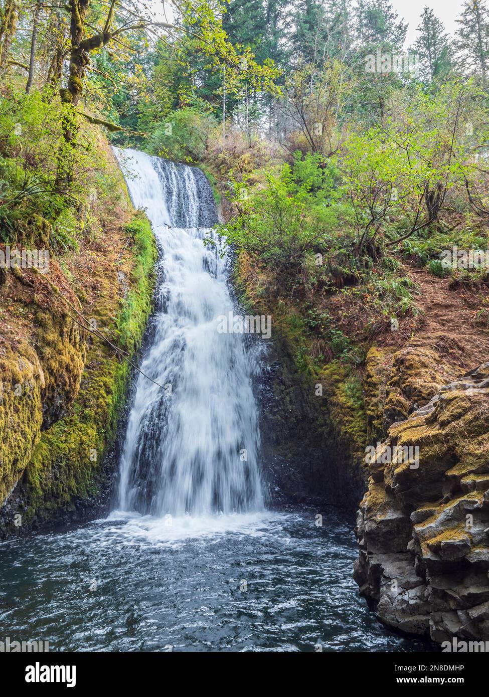 Bridal Veil Falls, Columbia River Gorge National Scenic Area, Oregon. Foto Stock