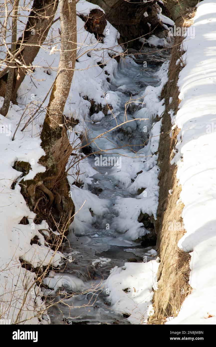 Fiume congelato in inverno, Jarrier, Maurienne, Savoia, Francia Foto Stock