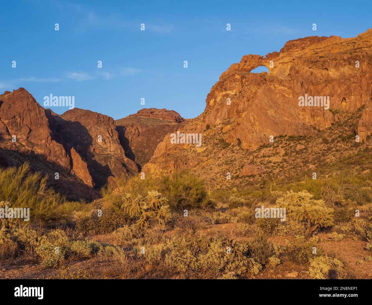 Arch Canyon, Ajo Mountain Drive, Organ Pipe Cactus National Monument, Arizona. Foto Stock