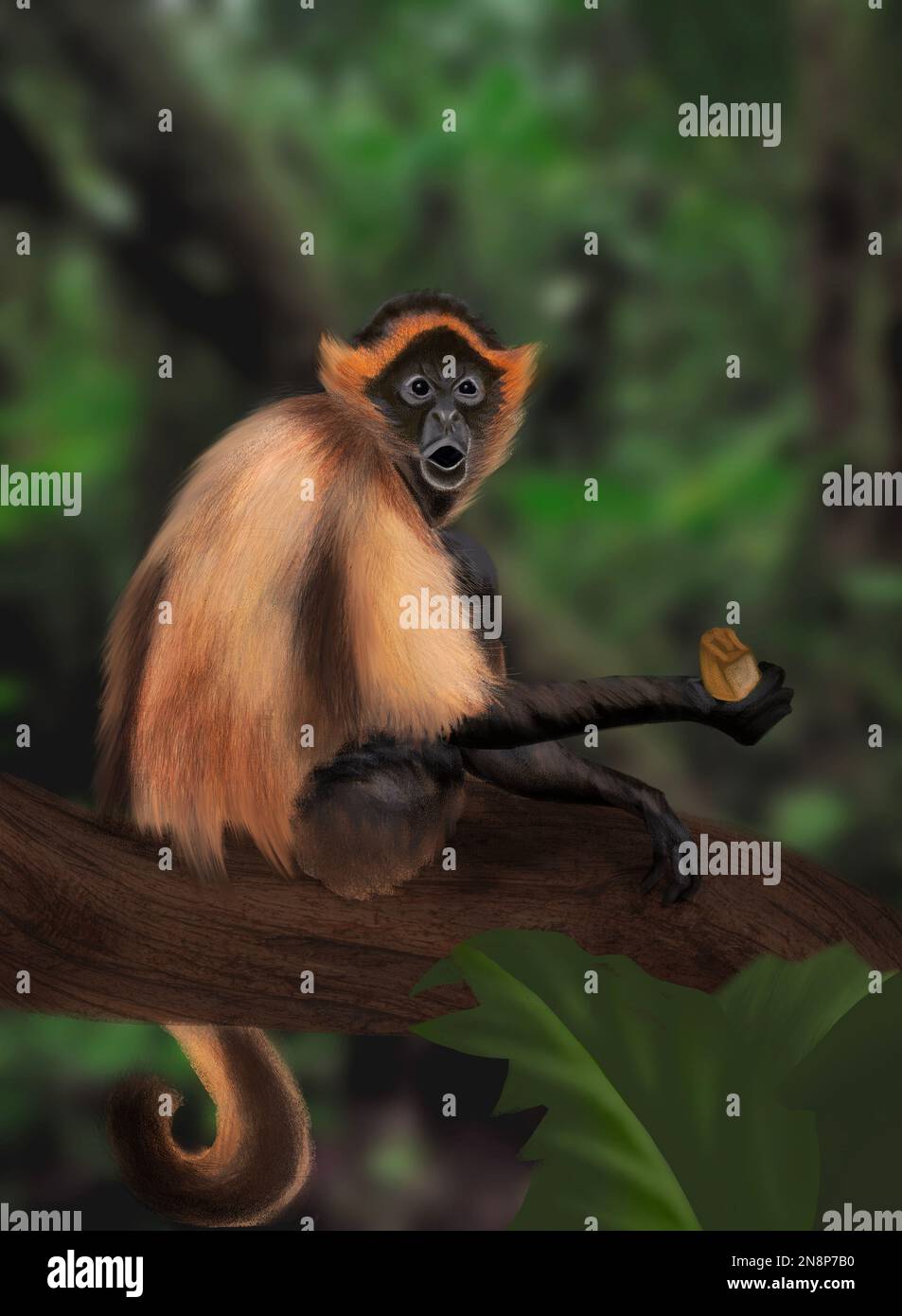 Illustrazione digitale - scimmia di Spider divertente e soffice. Colore arancione brillante della pelliccia su sfondo scuro. Foto Stock