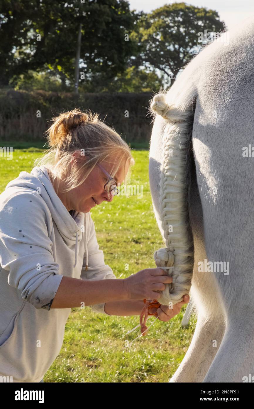 Inghilterra, Dorset, Shaftesbury, l'annuale Wessex Heavy Horse Show e Country Fair, Woman Grooming Heavy Horse in preparazione per la mostra Foto Stock