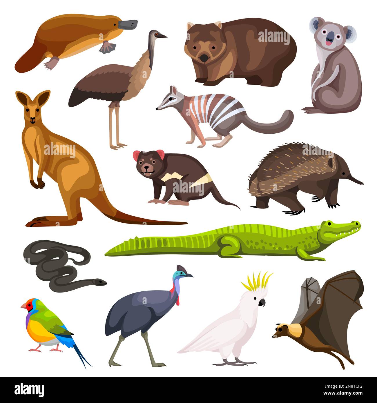 Animali australiani set di koala canguro coccodrillo lizard volante volpe cane selvaggio dingo platypus echidna wombat intorat cassowary personaggi del cartone animato isolat Illustrazione Vettoriale