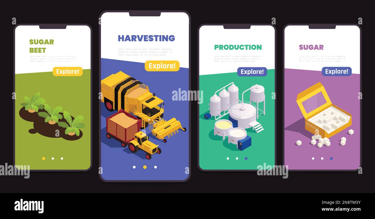 Set di smartphone per la produzione di zucchero con informazioni sui macchinari per la raccolta della barbabietola e sulle attrezzature isometriche vettoriali indicratio Illustrazione Vettoriale