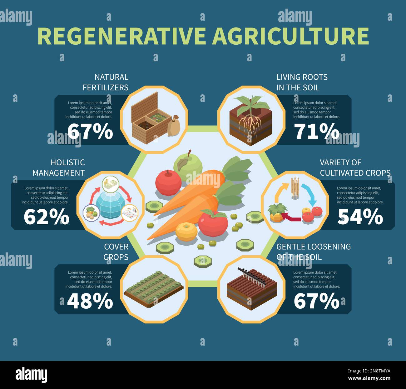 Infografiche dell'agricoltura rigenerativa con principi di gestione olistica della permicoltura e illustrazione vettoriale del modello statistico Illustrazione Vettoriale