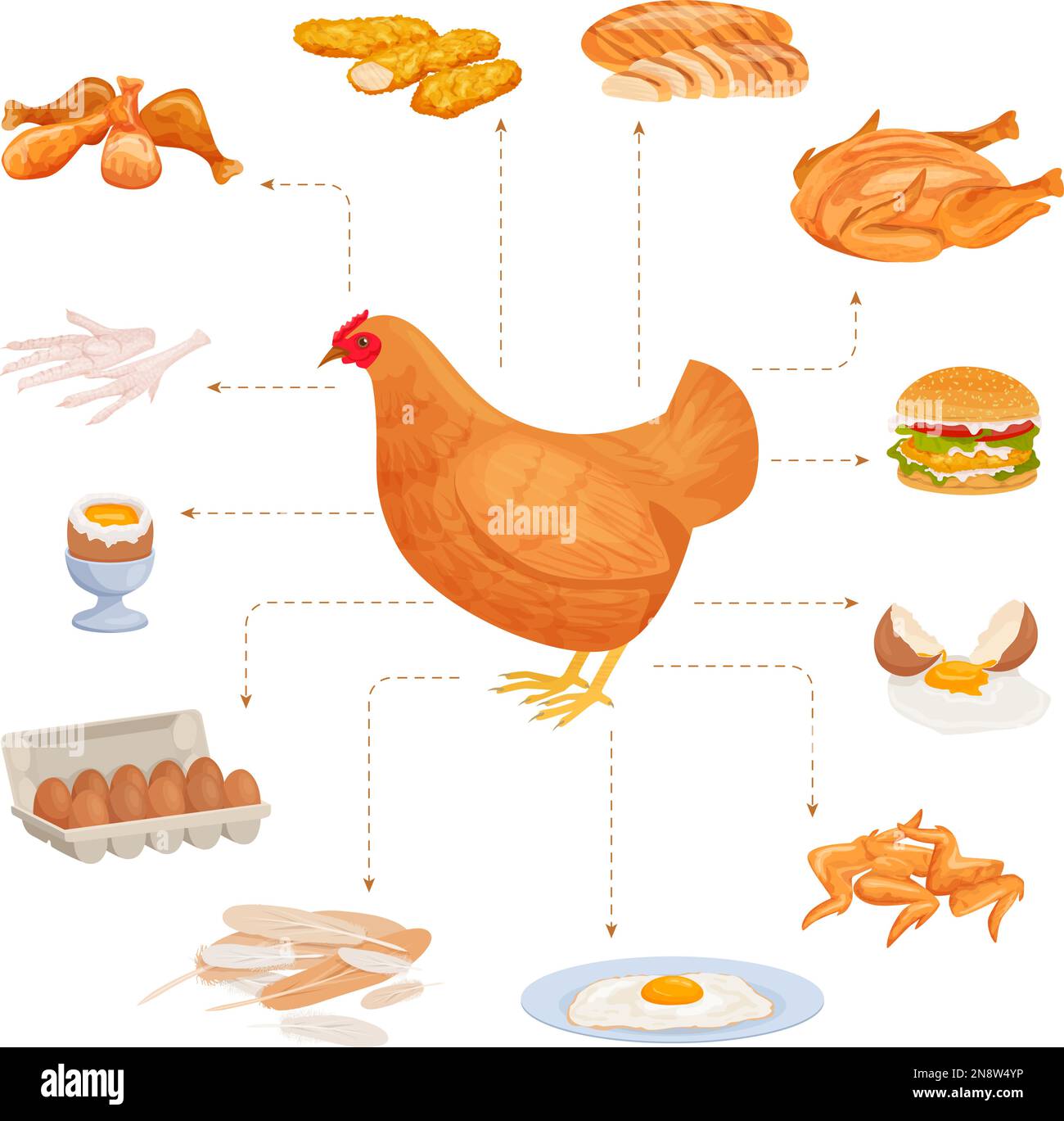 Prodotti di pollo composizione piatta con set di alimenti isolati per pollame che indicano l'immagine dell'illustrazione del vettore di gallina da allevamento Illustrazione Vettoriale