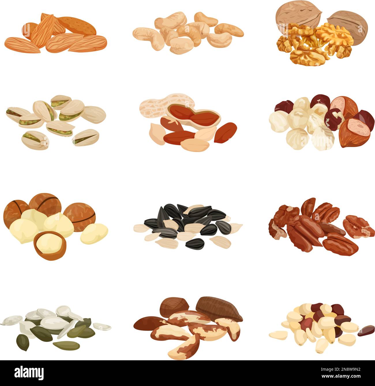 Set piatto di noci e semi con immagini isolate di mucchi con vari dadi su sfondo bianco illustrazione vettoriale Illustrazione Vettoriale