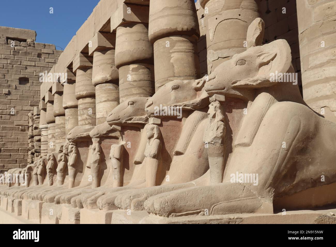 Viale di arieti all'ingresso del tempio di Karnak a Luxor, Egitto Foto Stock