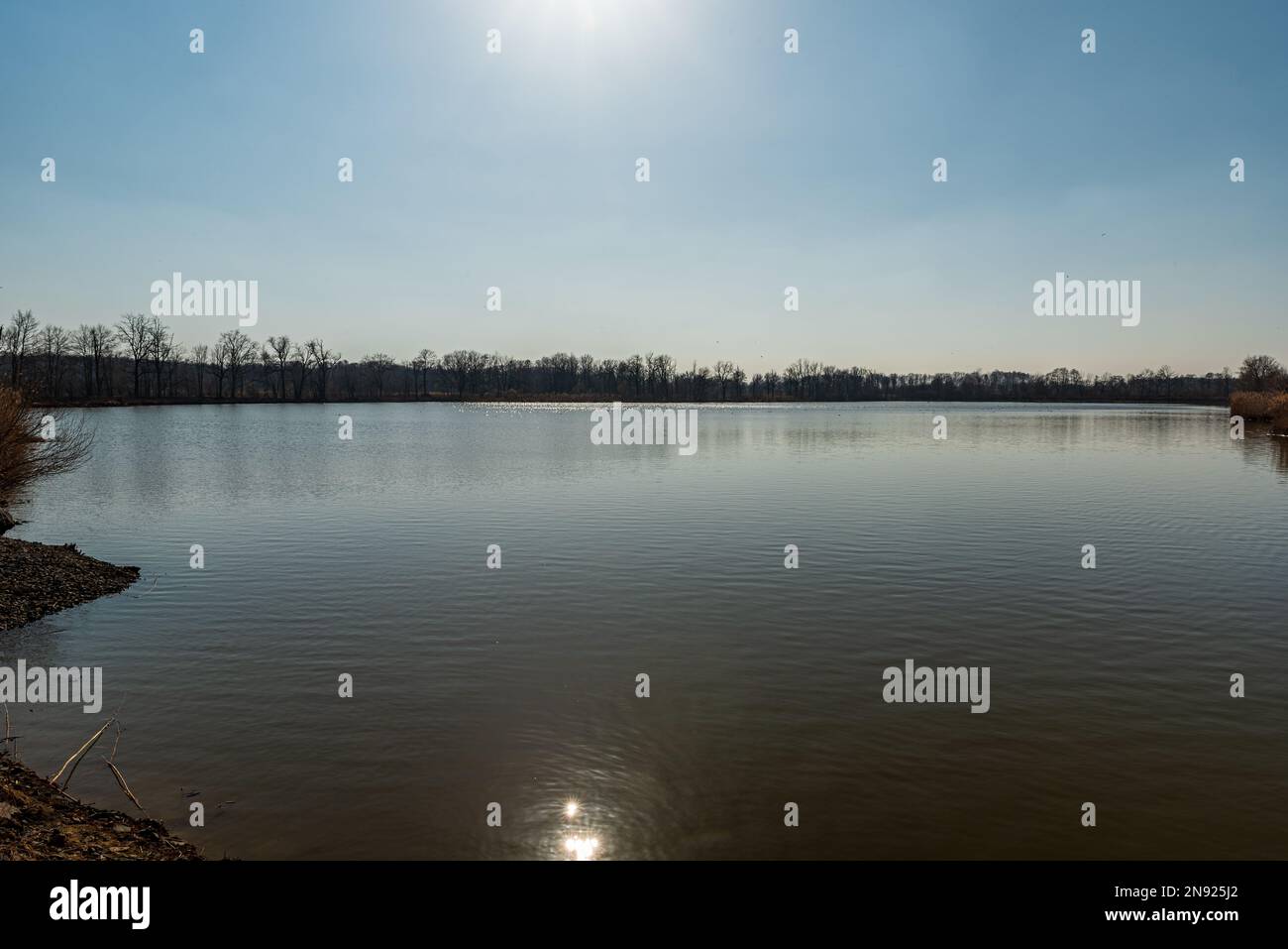 Laghetto con luci solari che si specchiano sul terreno d'acqua e foresta sullo sfondo durante una bella giornata con cielo limpido in CHKO Poodri vicino a Ostrava città in ceco Foto Stock