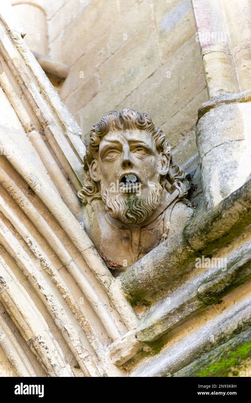 Gargoyle faccia in pietra dell'estremità occidentale della chiesa della cattedrale di Salisbury, Wiltshire, Inghilterra, Regno Unito Foto Stock