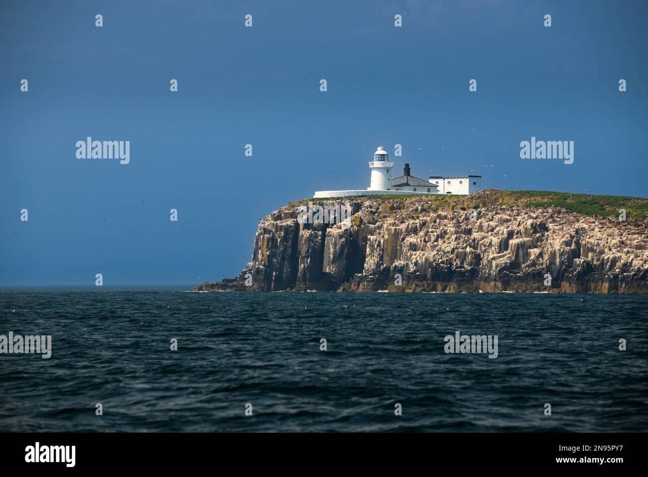 Faro di Farne sulla punta meridionale di Farne interno Foto Stock