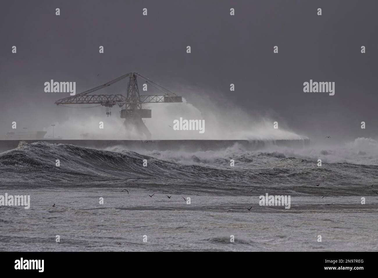 Forte tempesta di mare. Parete nord del porto di Leixoes. Foto Stock