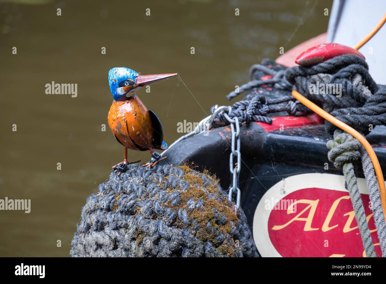 TREVOR WREXHAM, GALLES - LUGLIO 15 : Tin Kingfisher su una nave stretta vicino Trevor, Wrexham, Galles, Regno Unito il 15 Luglio 2021 Foto Stock