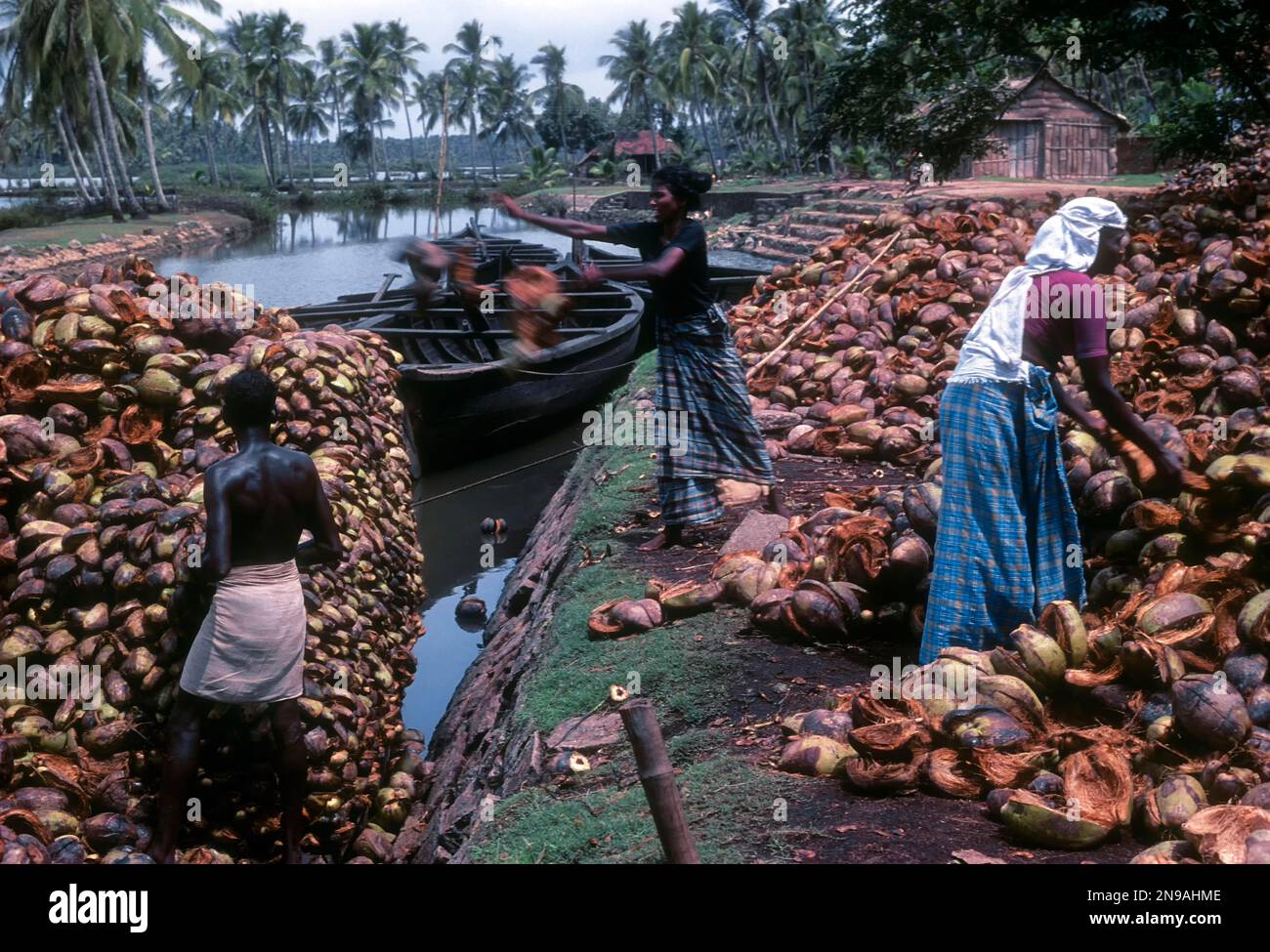 Lavorazione del cocco piccola industria. La materia prima di cocco Husk viene raccolta e trasportata attraverso le acque interne di Kodungaloor, Kodungallur, Kerala fino al Foto Stock
