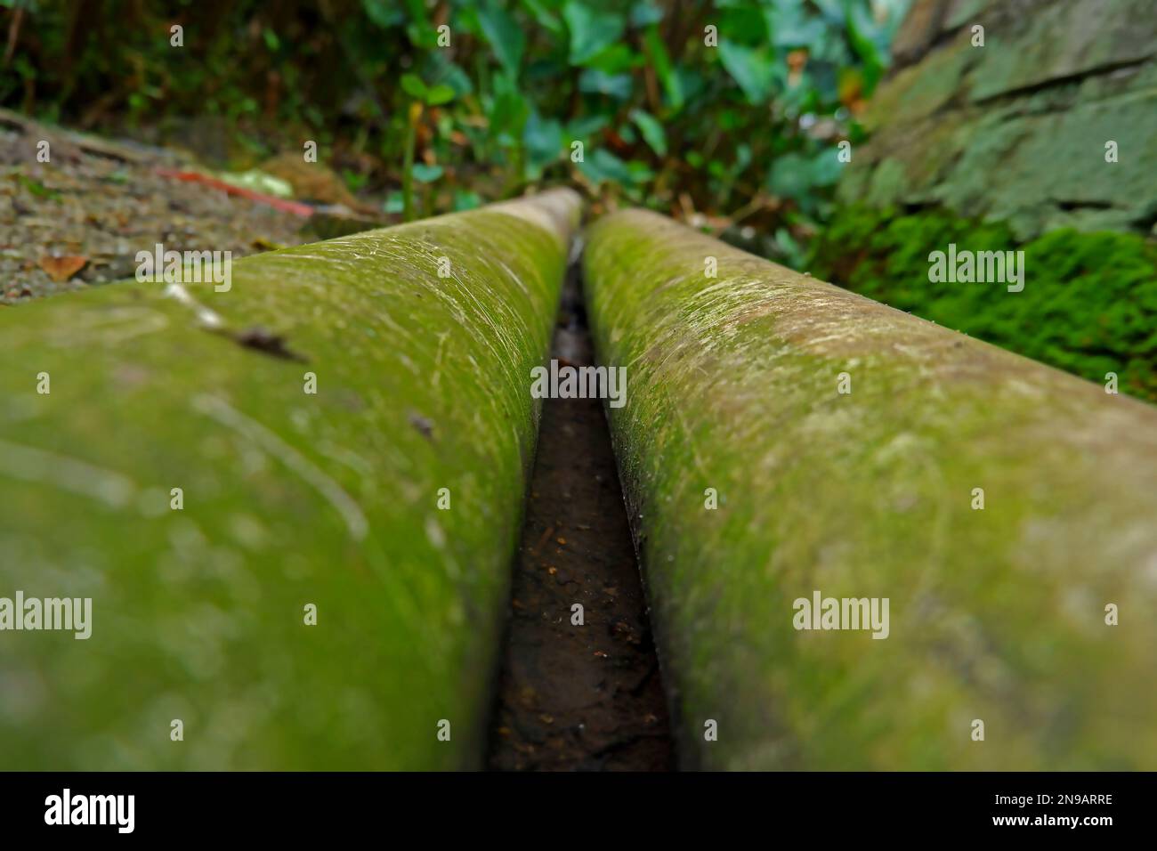 Due tubi dell'acqua che hanno sviluppato il muschio verde sulla superficie del terreno Foto Stock