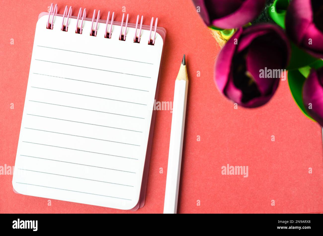 Quaderno a spirale aperto con carta rigata e matita con fiore di tulipano rosso su sfondo rosso. Foto Stock