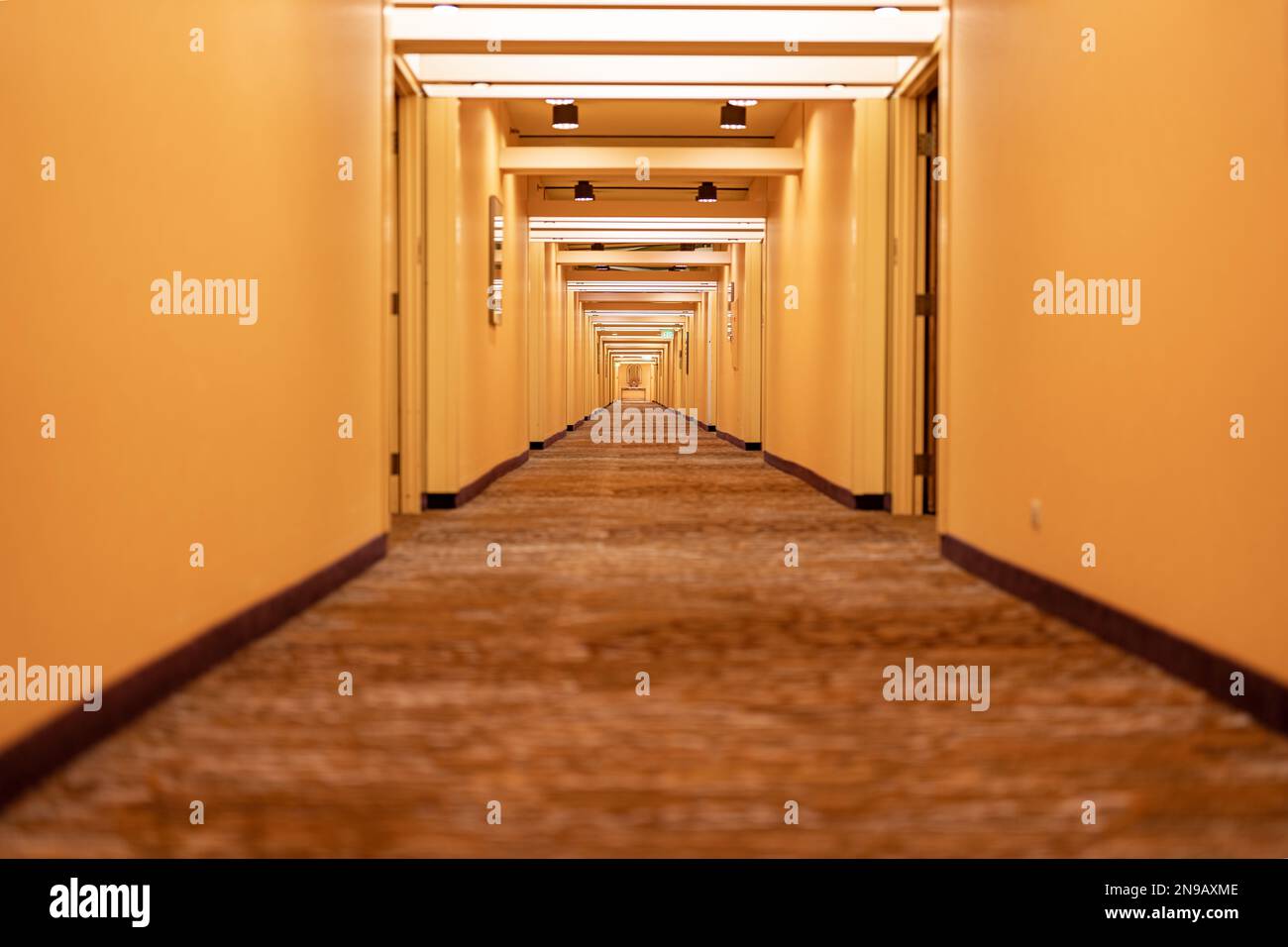 Lungo corridoio dell'hotel, corridoio, con porte, tappeti e tonalità beige giallastro. Foto Stock