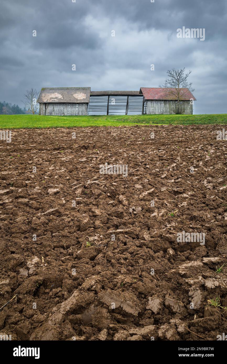 Campo appena arato in autunno e hayfield - Otocec in Slovenia. Foto Stock