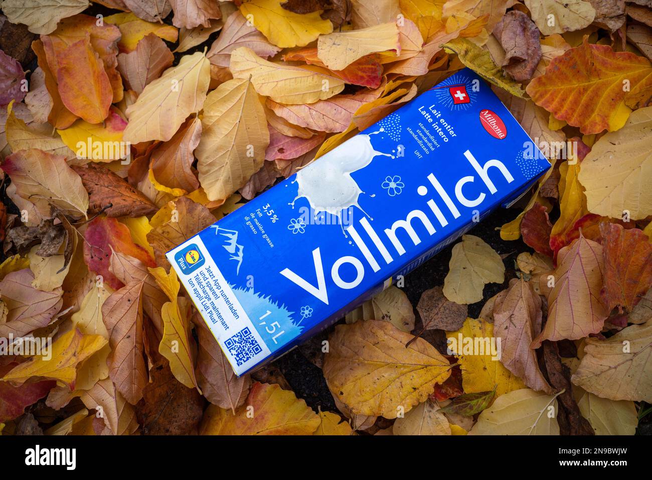 Zurigo, Svizzera - 11 novembre 2022: Imballaggio vuoto del latte a terra tra le foglie colorate in autunno Foto Stock