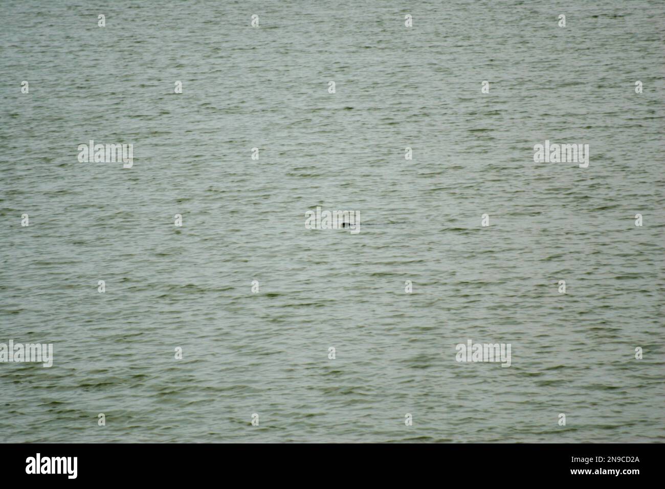 sfondo astratto di acqua ondulata in un lago Foto Stock