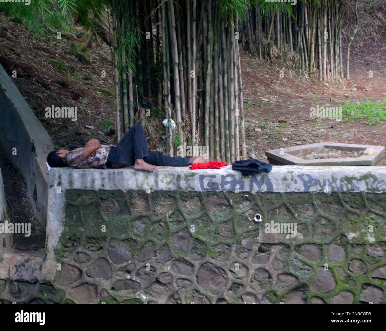 foto candida di un uomo che dorme sotto un albero. indossava una camicia e dei jeans. Foto Stock