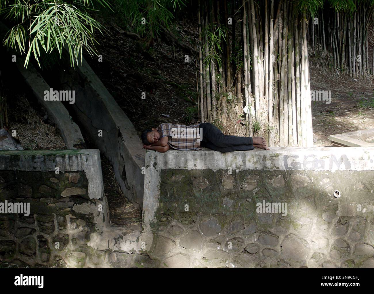 foto candida di un uomo che dorme sotto un albero. indossava una camicia e dei jeans. Foto Stock