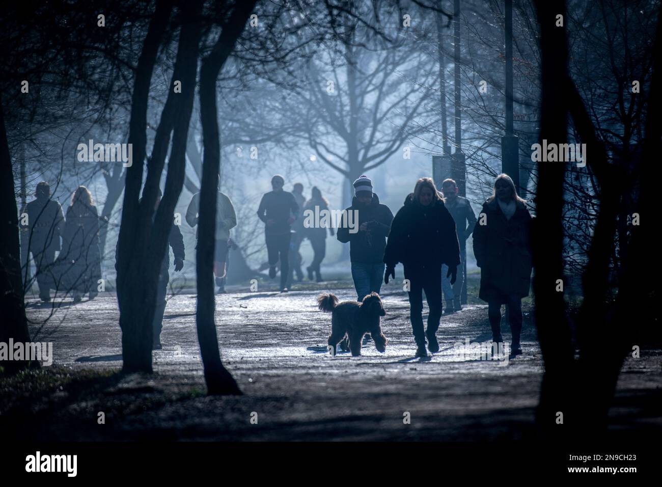 Passeggiate in un parco di Londra misteriosa in inverno Foto Stock