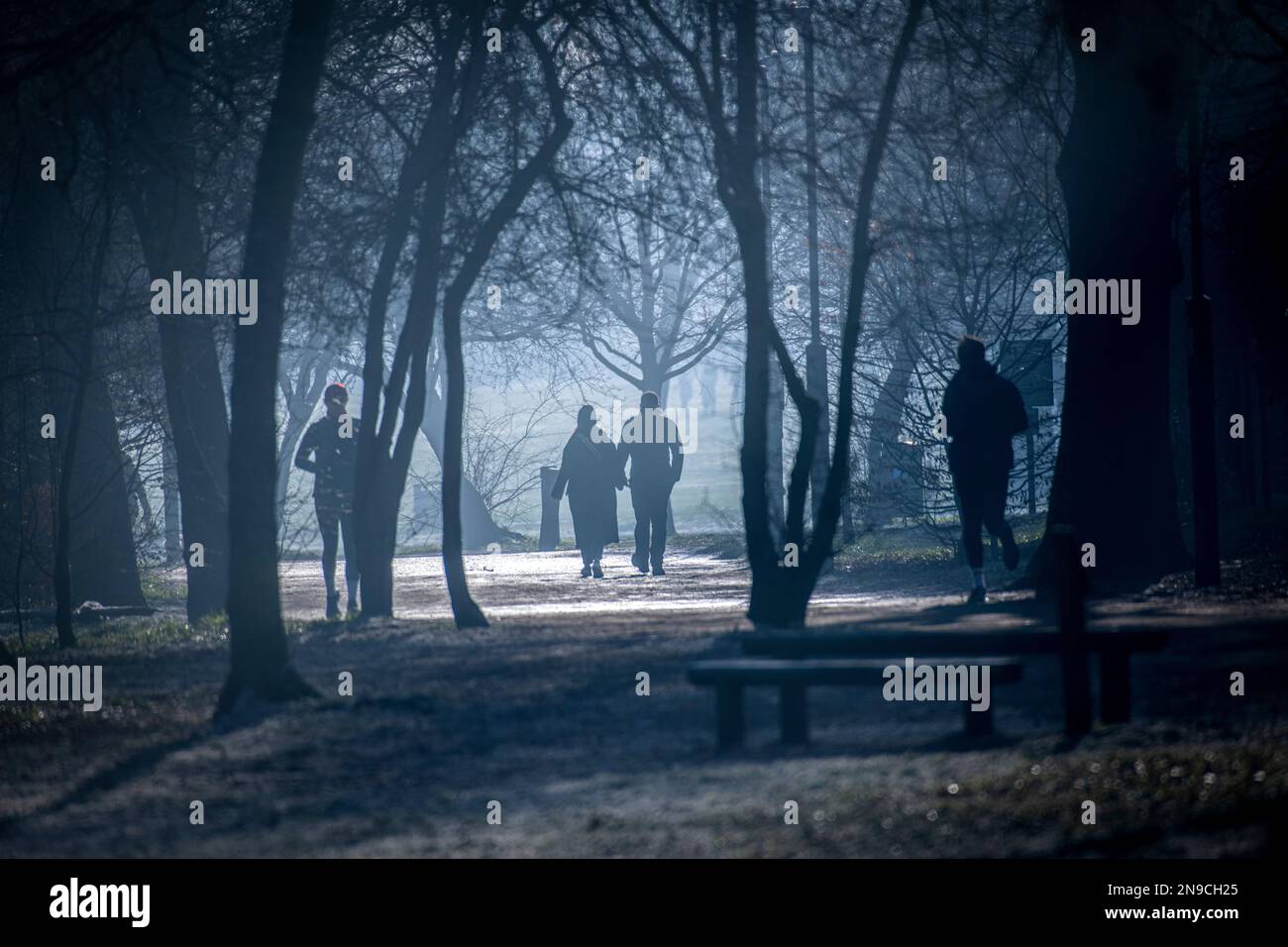 Passeggiate in un parco di Londra misteriosa in inverno Foto Stock
