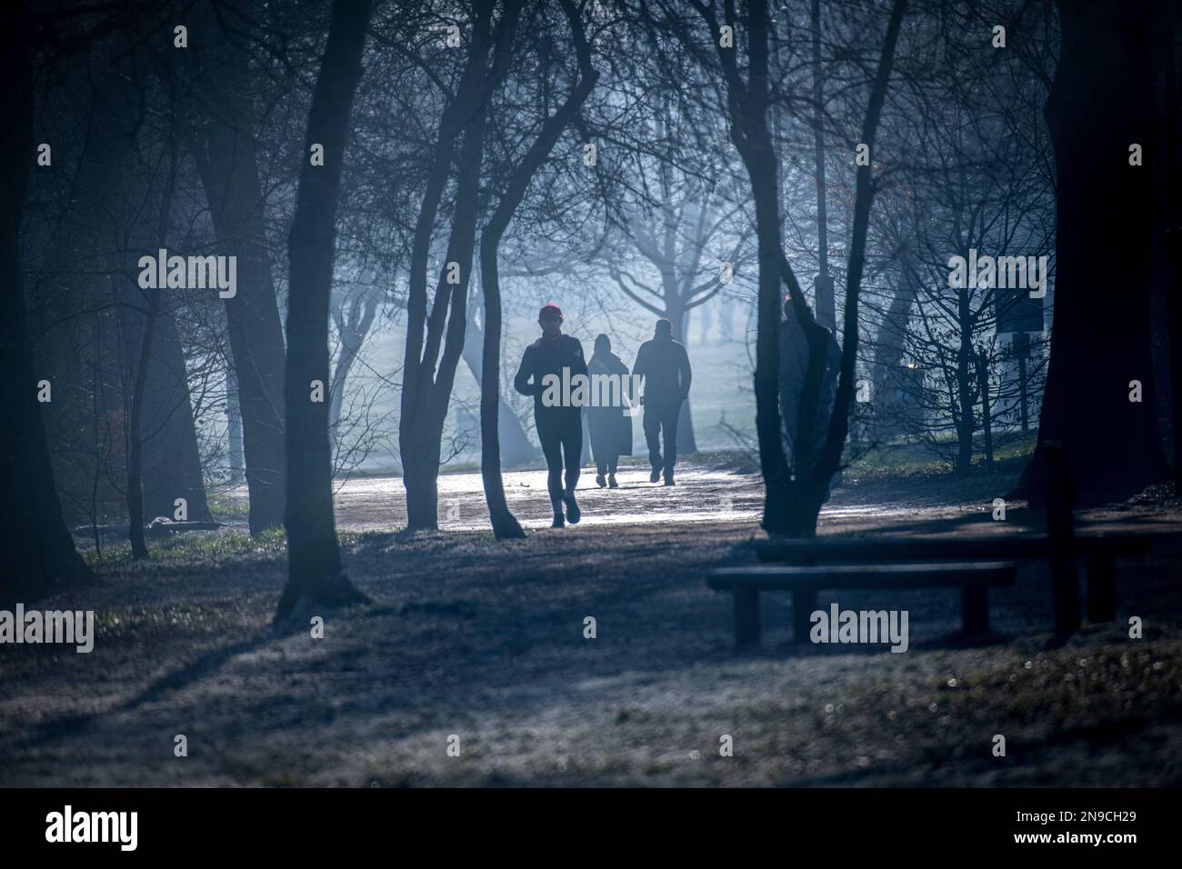 Passeggiate in un parco di Londra misteriosa in inverno Foto Stock