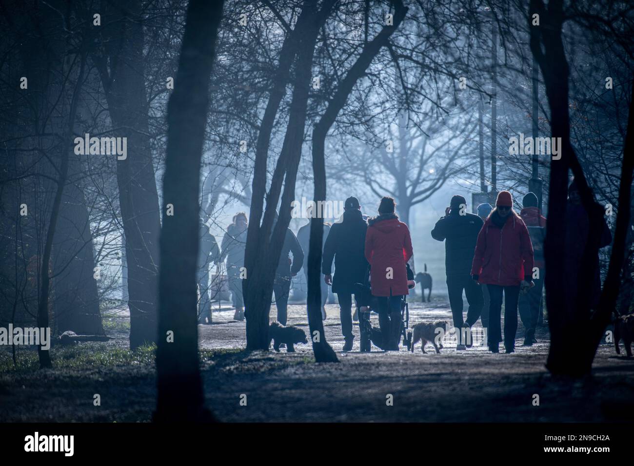 Passeggiate in un parco di Londra misteriosa in inverno Foto Stock