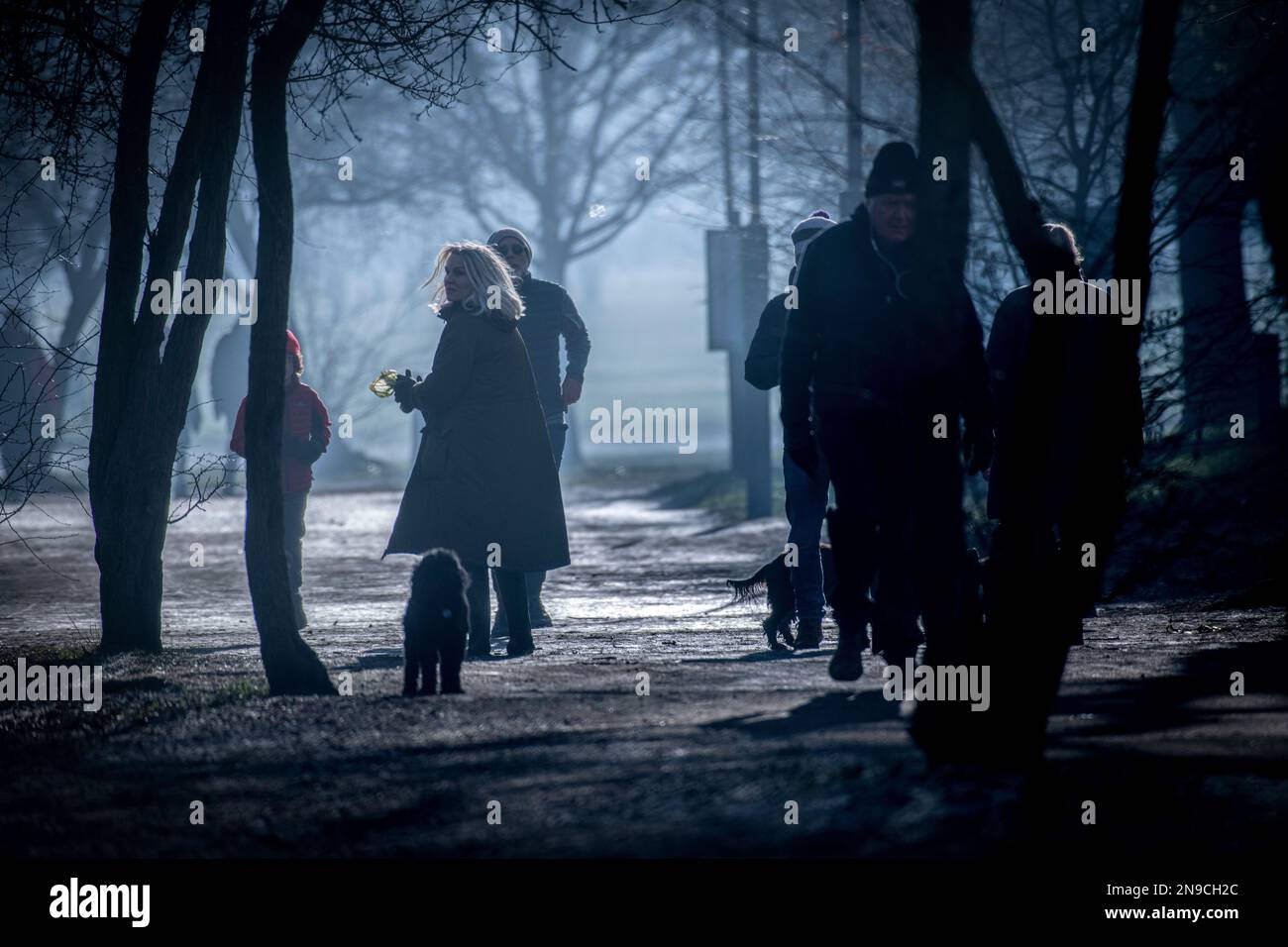 Passeggiate in un parco di Londra misteriosa in inverno Foto Stock