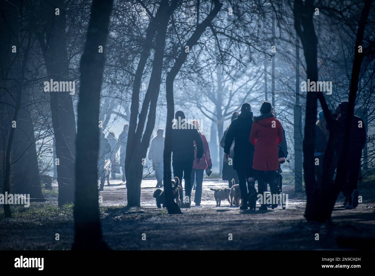 Passeggiate in un parco di Londra misteriosa in inverno Foto Stock