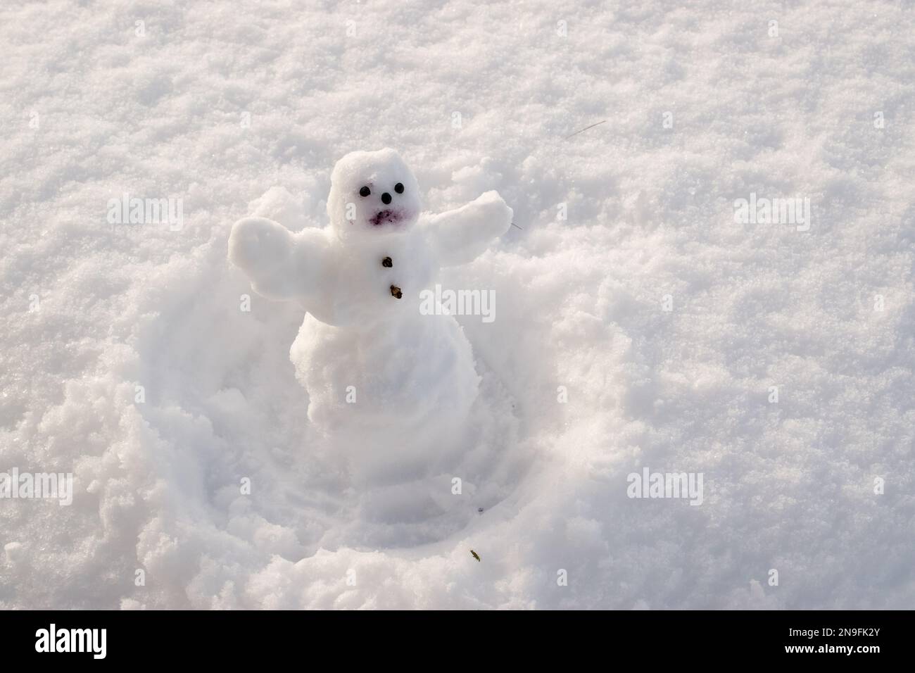 Un piccolo pupazzo di neve sulla neve in un bianco giardino d'inverno innevato. Snowman su un terreno innevato. Foto Stock