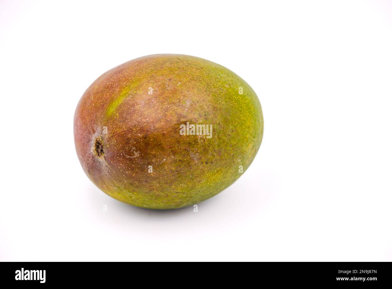 Un unico frutto di mango tropicale biologico per una dieta sana isolato come uno studio shot Foto Stock