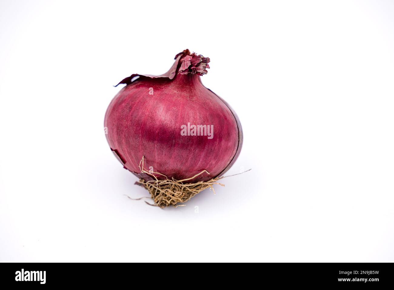 Una cipolla rossa è cresciuta organicamente come un cibo sano isolato con messa a fuoco impilata su uno sfondo bianco in studio Foto Stock