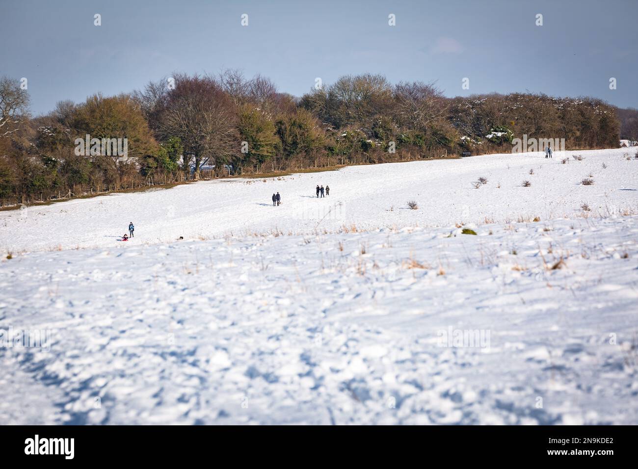 Basingstoke comune coperto di neve, 2019 febbraio dopo la Bestia dall'Est nevicata Foto Stock